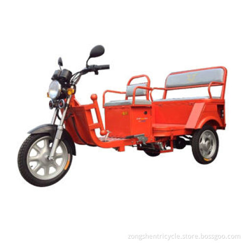 Hybrid Tricycle, 5-piece Battery and Charger